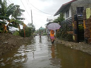 4009Typhoons Krosa Lekima & monsoon tidal flooding in Calumpit, Bulacan 62