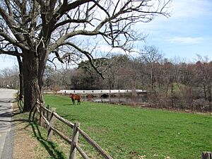 A field on the Town River, West Bridgewater MA
