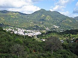 Adjuntas003