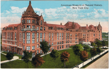 American Museum of Natural History, New York City