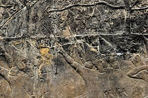 Assyria slingers hurling stones towards the enemy at the city of -alammu. Detail of a wall relief dating back to the reign of Sennacherib, 700-692 BCE. From Nineveh, Iraq, currently housed in the British Museum