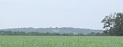 Avery Island, Louisiana, as seen from a distance across a sugarcane field