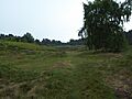 Blaxhall Heath 11