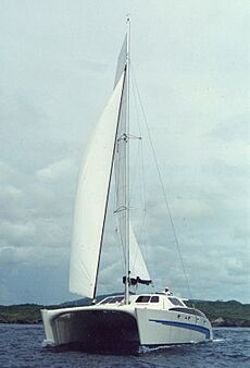 Brady 45' strip-built catamaran with fractional Bermuda rig