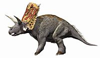 Bravoceratops NT small.jpg