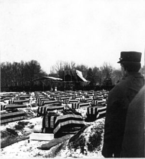 Burial of USS Maine dead at Arlington National Cemetery - presidential dais - 1899-12-28