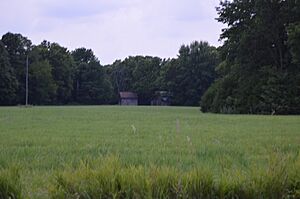 Cambre Farm distant