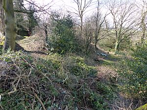 Camp Green ringwork, Hathersage