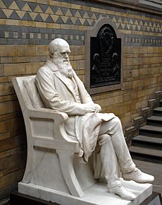 Charles Darwin statue 5665r