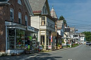 Shops along Main Street (Vermont Route 11)
