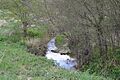 Debden Water 2