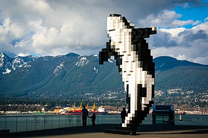 Digital Orca Vancouver.jpg