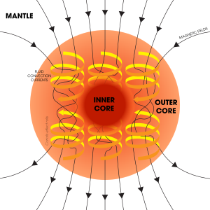 Dynamo Theory - Outer core convection and magnetic field geenration