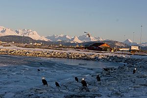 Ealges on the spit in Homer