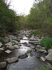 El riu Congost a l'alçada de la Garriga.jpg