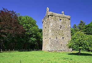 Feartagar Castle, County Galway.jpg
