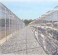 Fence of Prison-BPO