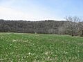 Fisher Site fields