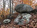 Glacial Erratics in Ledyard, CT