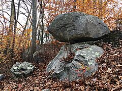 Glacial Erratics in Ledyard, CT