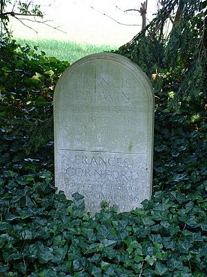 Grave of Francis Darwin - geograph.org.uk - 382508