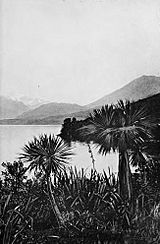 Head of lake wakatipu from pigeon island-Picturesque New Zealand, 1913