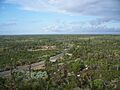 Hobe Sound FL Jonathan Dickinson SP obs tower view07