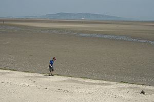 IMG SandymountStrabd1461
