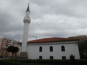 Islam-agina džamija, Niš, Srbija, 14