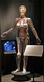 Juno exhibit