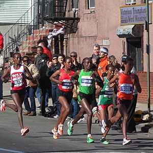 Lead women Bedford Lafayette Avs 2011