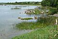 Lough Funshinagh - geograph.org.uk - 964603