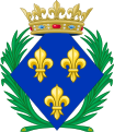 Lozenge of a "Daughter of France" (Fille de France)