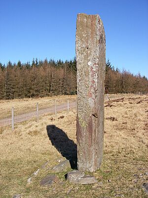 Maen Madoc in the sunshine - geograph.org.uk - 693640