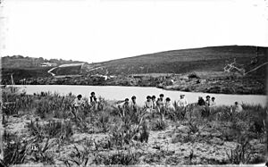 Maori encampment at Helensville, Kaipara Harbour (1863)