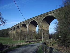 Martholme Viaduct - geograph.org.uk - 155346.jpg