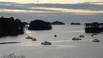 Matsushima miyagi z