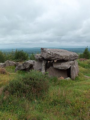 Megalithic Tomb, Duntryleague (geograph 2544297).jpg