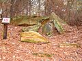 Mississippi Petrified Forest