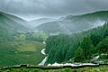 Misty Glenmacnass