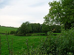 Monkredding Woodlands, Ayrshire
