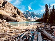 Moraine Lake in Banff National Park with floating woods