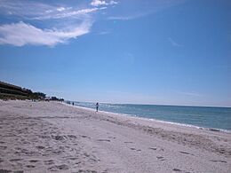 My Day on Anna Maria Island - Nov 30 2009 028