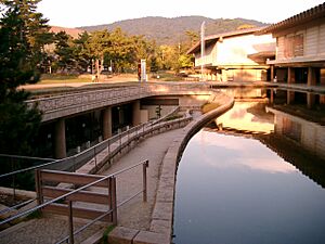 Nara museum water2