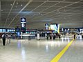 Narita International Airport T1 Departure 2013