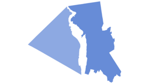 NewYorkCongD17(2020)