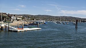 Newport Beach california 3 march 9 2014 photo d ramey logan