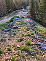 Original Log Cribbing on Rollins Pass