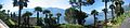 Panorama ascona