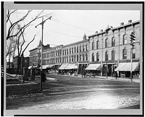 Pinckney St., Madison, Wisconsin LCCN93500418